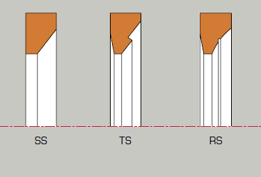 Cross-sections of three PCTFE seal profiles for cryogenic and high-pressure valve applications, labelled SS, TS and RS.